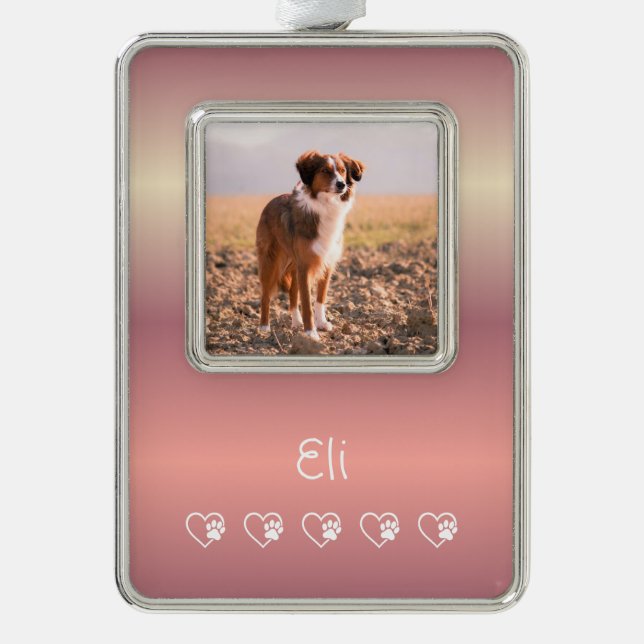 Peach Pet Photo Ornament - Framed, Holiday  (Front)