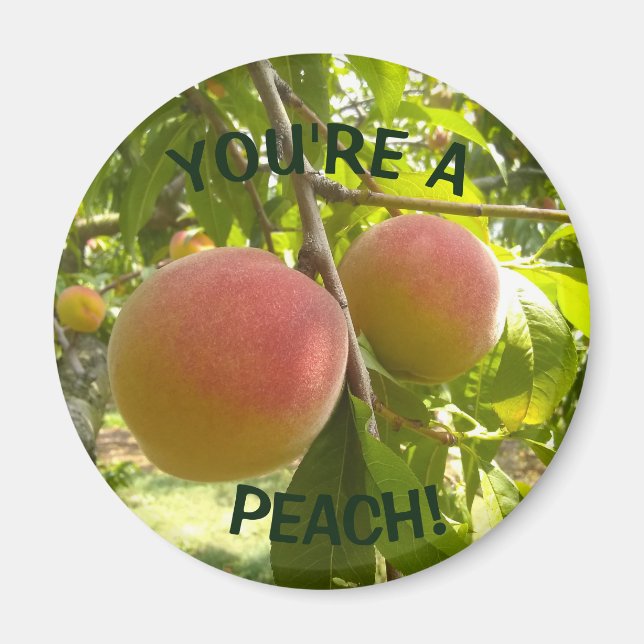 Peach Photo text You're a Peach Magnet (Front)