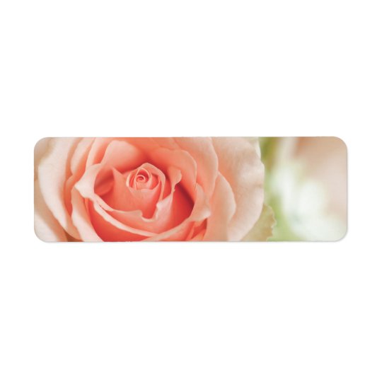 Peach Pink Rose Background Customised Return Address Label