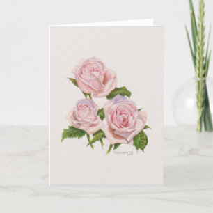 Peach Pink Roses card