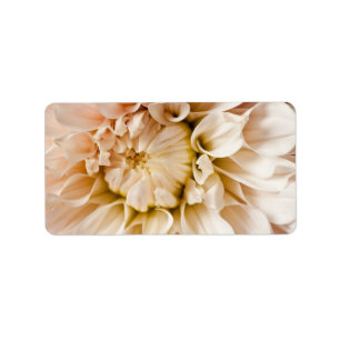Peach, Pink, White, & Cream Dahlia Background Label