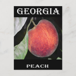 Peach Postcard