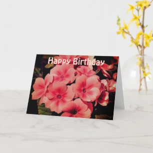 Peach Primrose Flower Photography Birthday Card