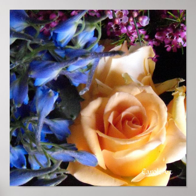 Peach Purple Blue Fine Art Poster (Front)