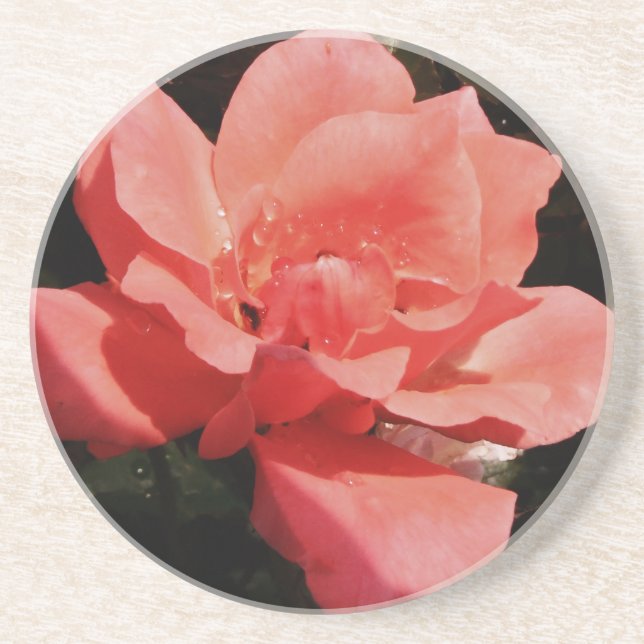 peach rose and dewdrops coaster (Front)