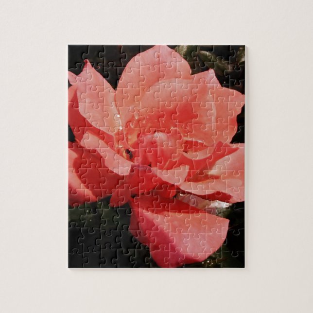 peach rose and dewdrops jigsaw puzzle (Vertical)
