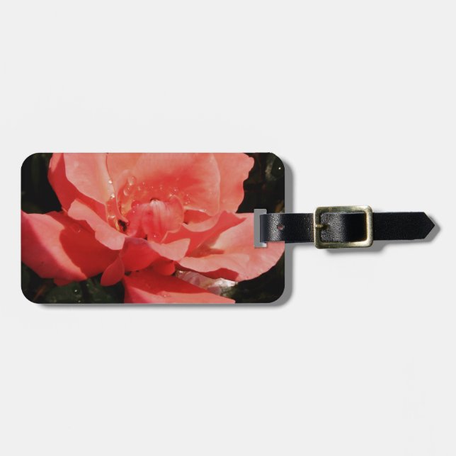 peach rose and dewdrops luggage tag (Front Horizontal)
