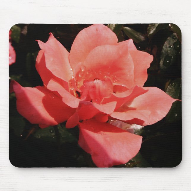peach rose and dewdrops mouse mat (Front)