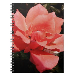 peach rose and dewdrops notebook