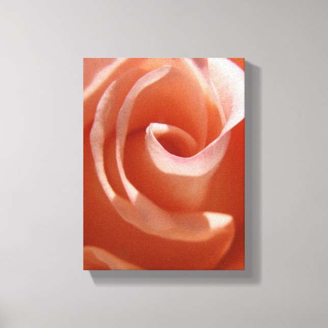 Peach Rose Canvas Print (Front)