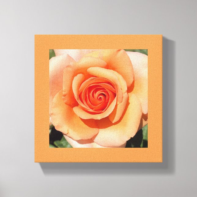Peach Rose Canvas Print (Front)