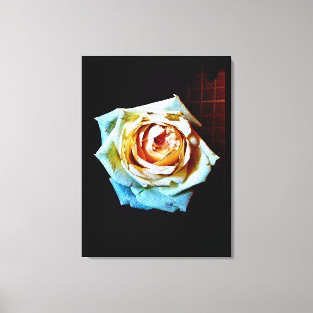 Peach Rose Canvas Print (Front)