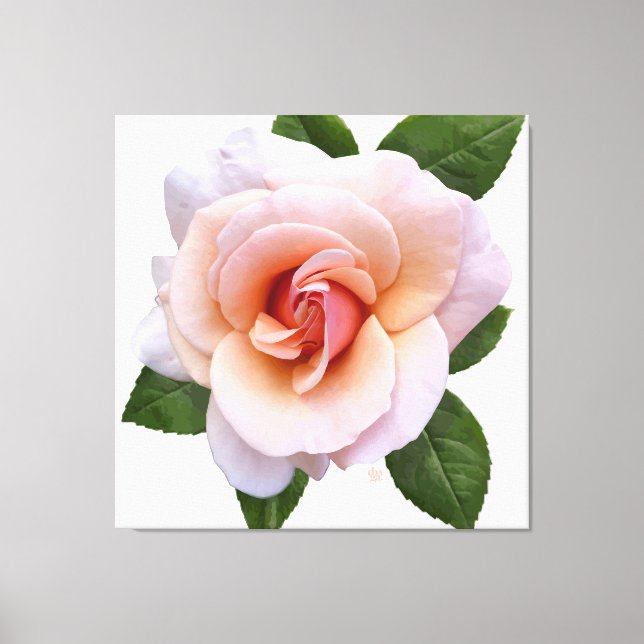 Peach Rose Canvas Print (Front)