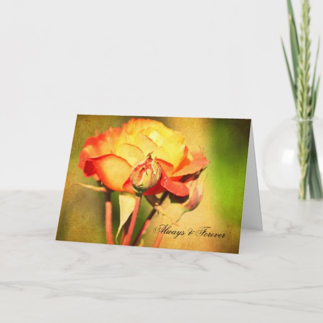 Peach Rose Card (Front)