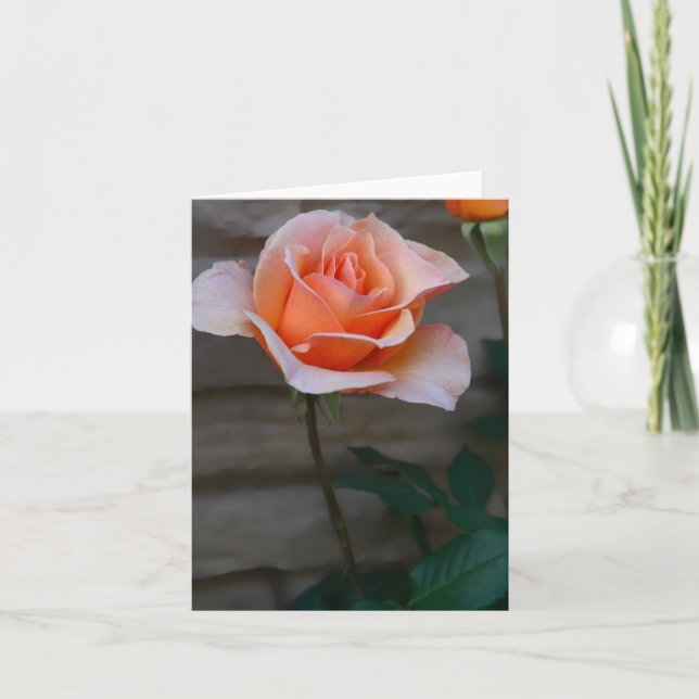 Peach Rose Card (Front)
