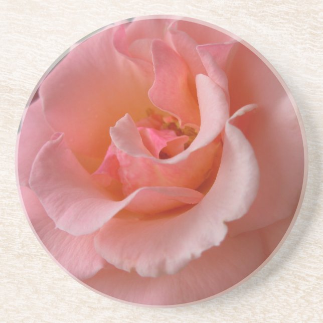 Peach Rose Coasters Wild Rose Gifts Keepsake Decor (Front)
