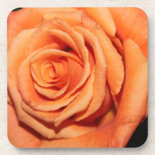 Peach  Rose Cork Coaster