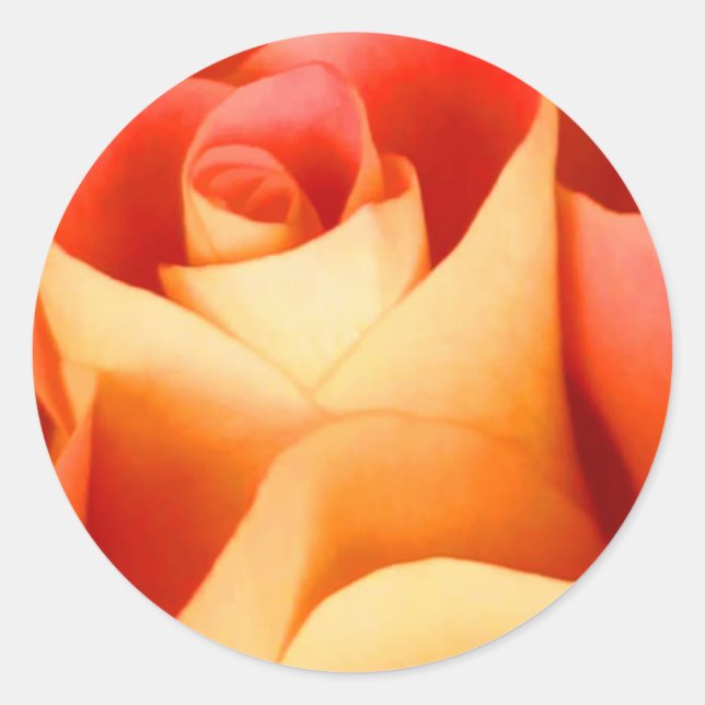 Peach Rose Envelope Seal Sticker (Front)