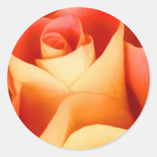 Peach Rose Envelope Seal Sticker