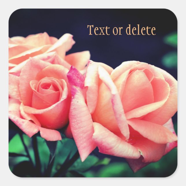 Peach Rose Flower Personalised Square Sticker (Front)