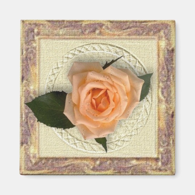 Peach Rose in Vintage Frame Magnet (Front)