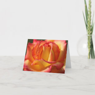 PEACH ROSE NOTE CARDS