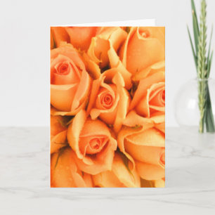 Peach Rose Note Cards