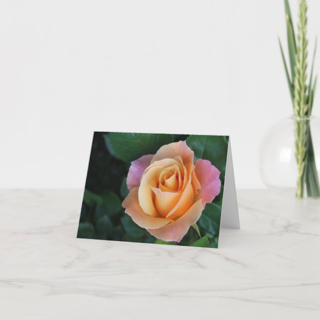 Peach Rose Notecard (Front)