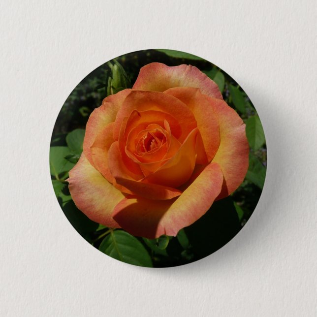 Peach Rose Orange Floral Photography 6 Cm Round Badge (Front)