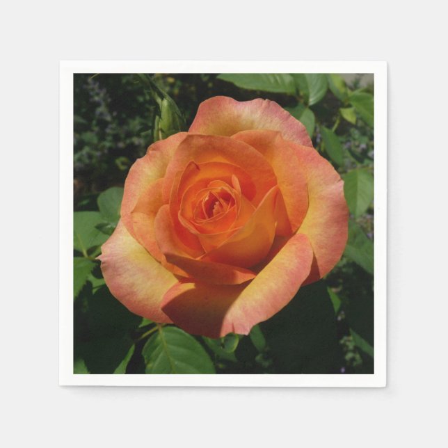 Peach Rose Orange Floral Photography Napkin (Front)