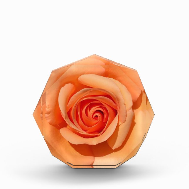 Peach Rose Photo Block (Front)