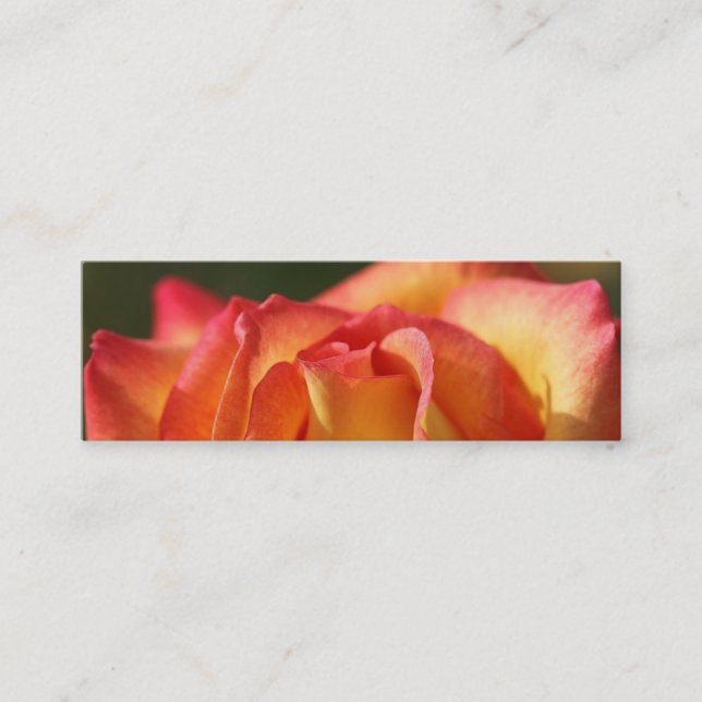 PEACH ROSE PROFILE CARDS (Front)