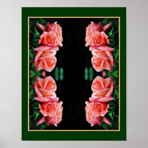 Peach Rose Trio Mirror Abstract Floral Art Poster