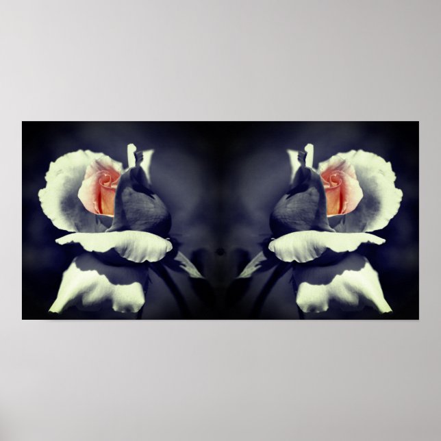 Peach Rosebud Black And White Partial Colour Mirro Poster (Front)