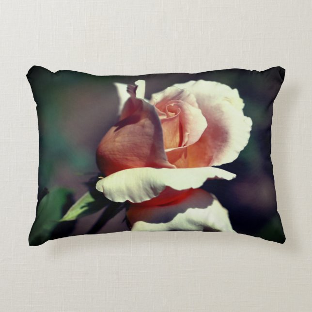 Peach Rosebud Flower Close Up  Decorative Cushion (Front)