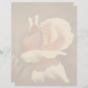 Peach Rosebud Flower Nature Custom Letterhead