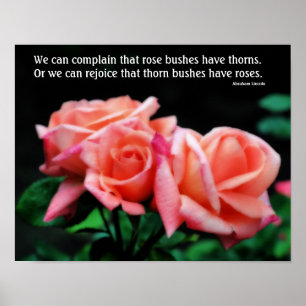 Peach Roses Attitude Inspirational Quote  Poster