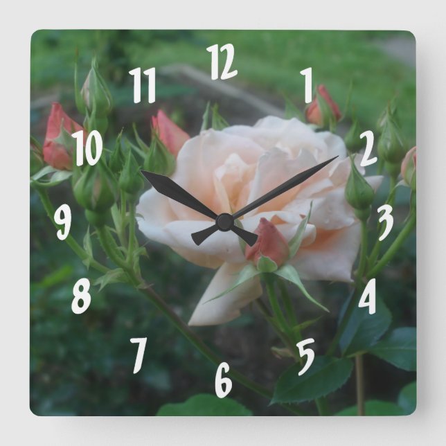 Peach Roses Flower Square Wall Clock (Front)