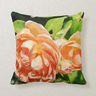 Peach Roses in the Garden Cushion