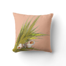 Peach Seashell
