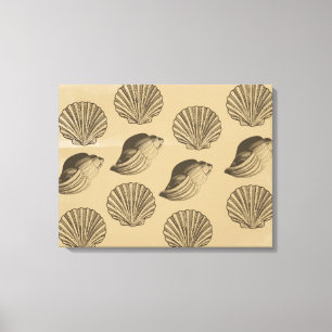 Peach Shells Canvas Print