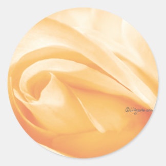 Peach Sherbet Rose Bud Wedding Envelope Seal