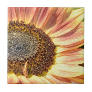 Peach Sunflower Tile