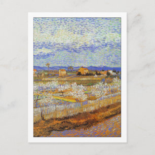 Peach Trees in Blossom by Van Gogh Postcard