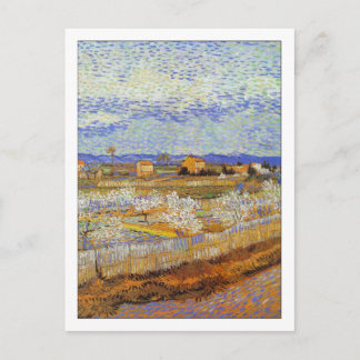 Peach Trees in Blossom by Van Gogh Postcard