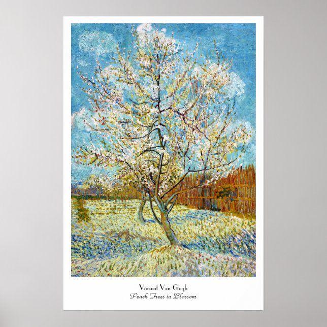 Peach Trees in Blossom Vincent Van Gogh Poster (Front)