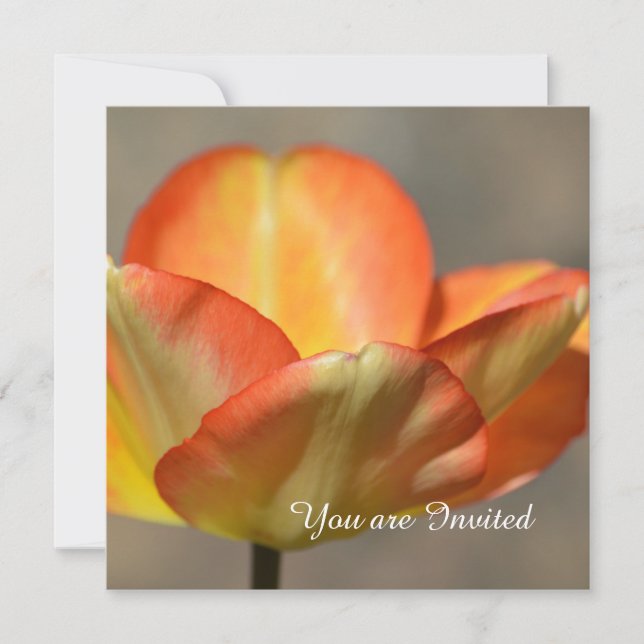 Peach Tulip Flower Birthday Invitation (Front)