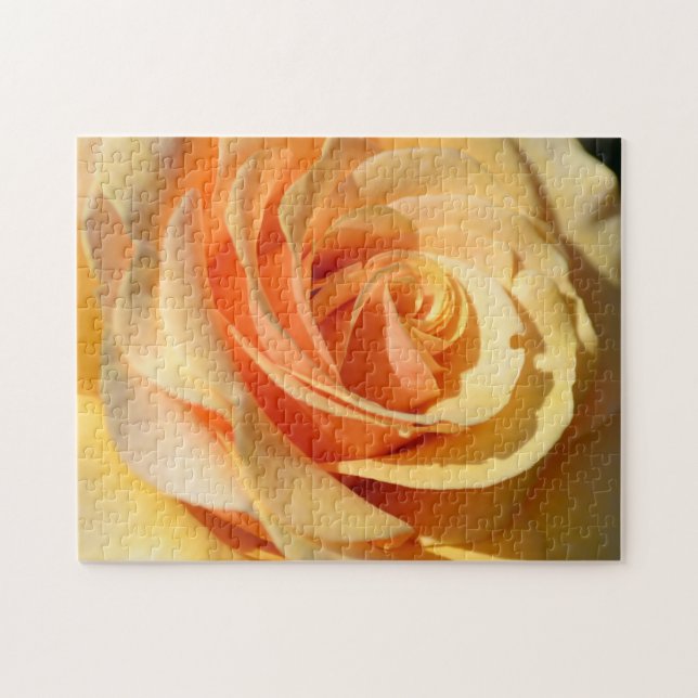 Peach Yellow Rose Jigsaw Puzzle (Horizontal)