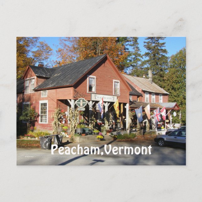 Peacham,Vermont Postcard (Front)