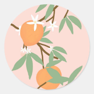 Peaches and flowers classic round sticker